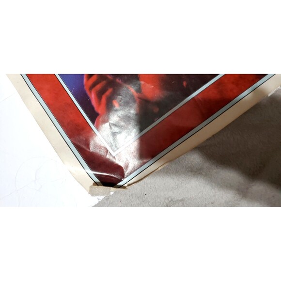 Pink Floyd Dark Side Moon Vinyl Insert Band Poster 20"x30" Psychedelic - Picture 12 of 16